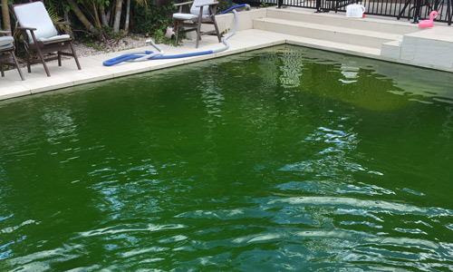 Green Concrete Pool - Pool Service in Gold Coast & Tweed Coast