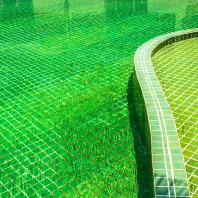 Green Pool - Pool Service in Gold Coast & Tweed Coast